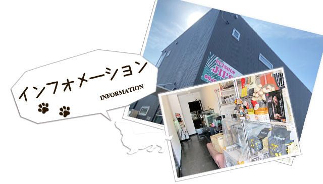 店舗概要 アクセス 福岡県福津市のペットショップ Petshopjii S Petshopjii S