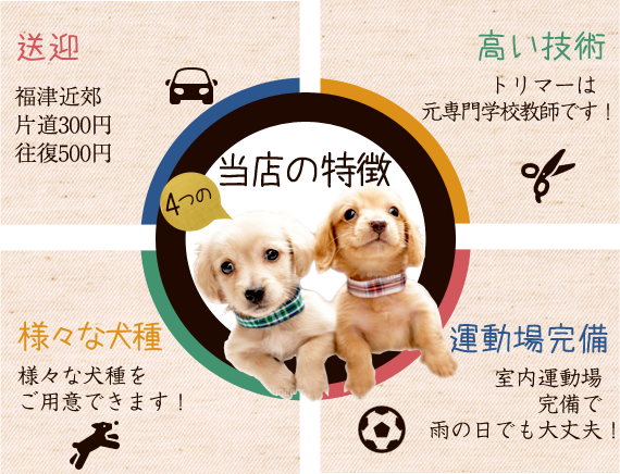 当店の4つの特徴/送迎無料/高い技術/様々な犬種/運動場完備