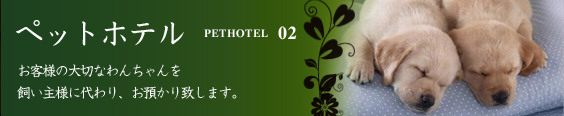 ペットホテル/お客様の大切なわんちゃんを飼い主様に代わり、お預かりいたします。