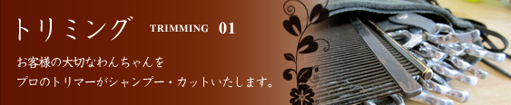 トリミング/お客様の大切なわんちゃんをプロのトリマーがシャンプー・カットいたします。