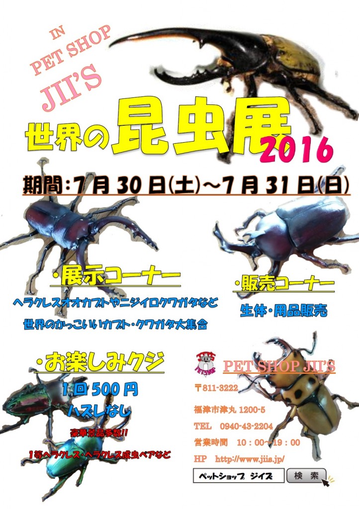 イベント『世界の昆虫展』開催決定!!